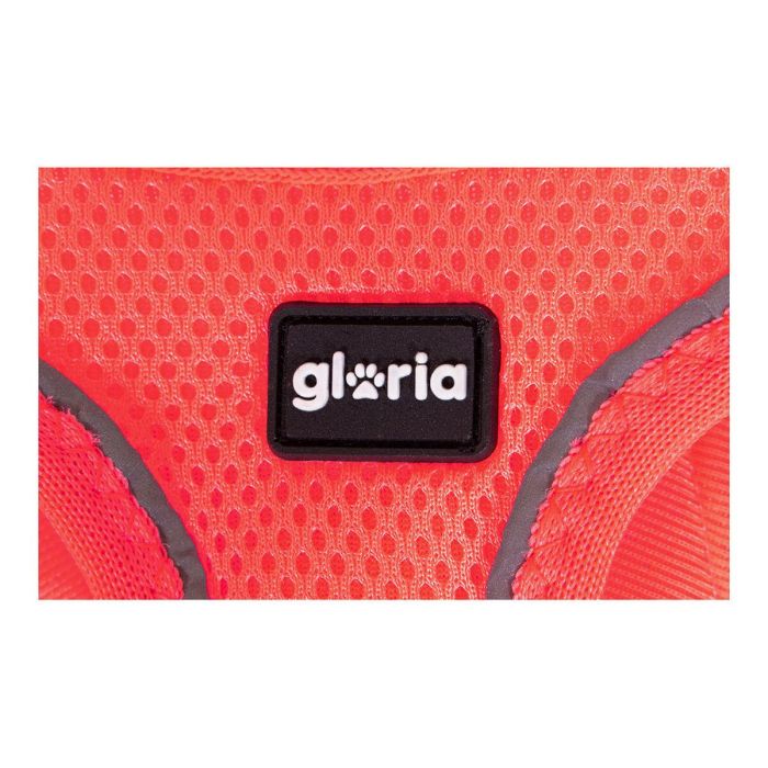 Gloria Arnés-Vestido Air Mesh Trek Star Rosa XXS 24-26 cm Ligero Transpirable Reflectante Gloria Arnés-Vestido Air Mesh Trek Star Rosa XXS 24-26 cm Ligero Transpirable Reflectante