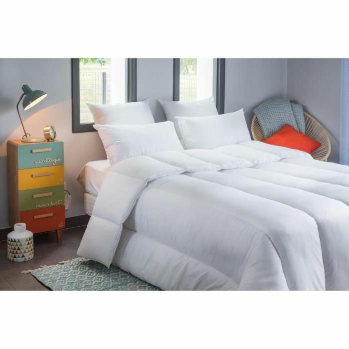 BLANREVE Edredón Percale muy cálido - Anti-ácaros - 420g / m² - 240x260cm 2 BLANREVE Edredón Percale muy cálido - Anti-ácaros - 420g / m² - 240x260cm 2