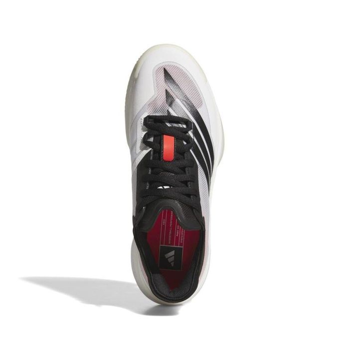 Zapatillas de Baloncesto para Adultos Adidas Adizero Select 3.0 Negro 42 5