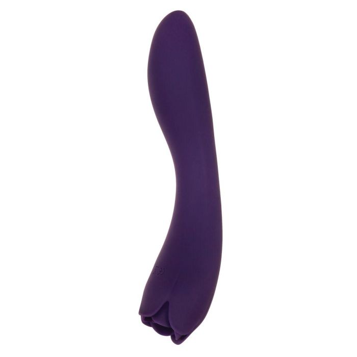 Vibrador Evolved Morado 23 Vibrador Evolved Morado 23