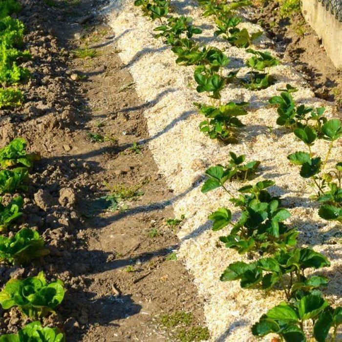 Pañuelo de cáñamo NATUREN - 100L 2 Pañuelo de cáñamo NATUREN - 100L 2