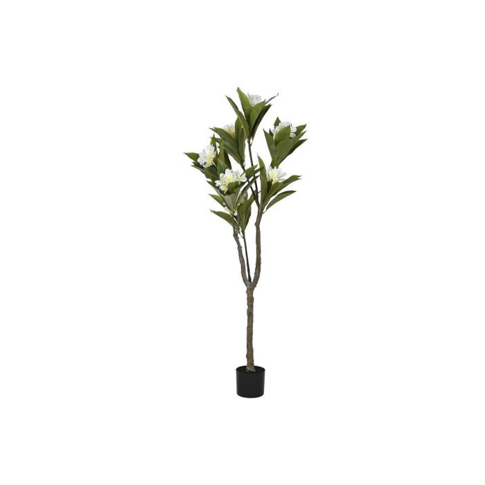 DKD Home Decor Árbol Tropical Artificial Frangipani Tahití PE, Blanco Verde Natural, 150 cm Alto x 80 cm Ancho x 80 cm Largo DKD Home Decor Árbol Tropical Artificial Frangipani Tahití PE, Blanco Verde Natural, 150 cm Alto x 80 cm Ancho x 80 cm Largo