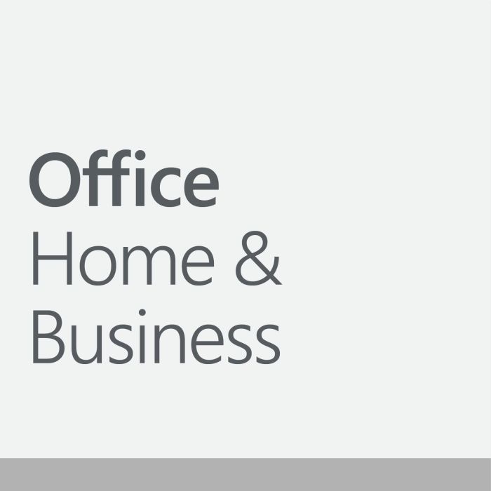 Microsoft Office Home & Business 2024 - Licencia Completa 1 PC/MAC Francés