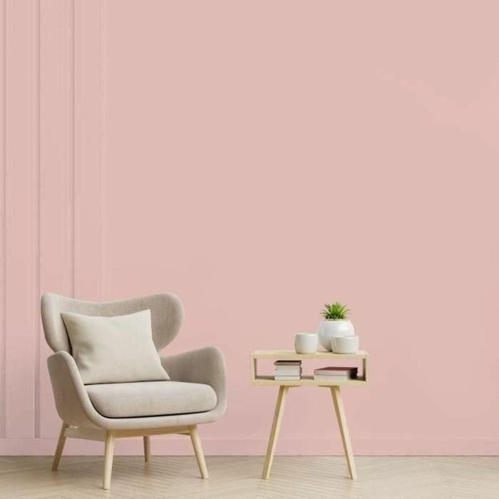 RIPOLIN Pintura de color satinado de ultra cobertura para cocina, dormitorio, salón, recibidor, entrada, pasillo - rosa 2 RIPOLIN Pintura de color satinado de ultra cobertura para cocina, dormitorio, salón, recibidor, entrada, pasillo - rosa 2