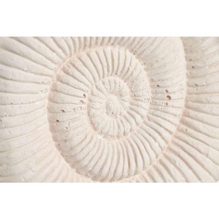 DKD Home Decor Hangzhou design 26b Decoración Mediterráneo Blanco 6.5 x 25 x 16 cm (2 Unidades) Cemento Metal Caracola