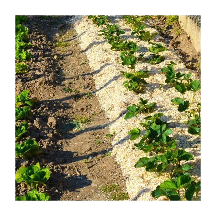 Naturen NF U 44 - 551 Paja de Cáñamo Mulching 100L para Huerto y Frutales - Protege Malezas y Suciedad, Enriquece Suelo 2