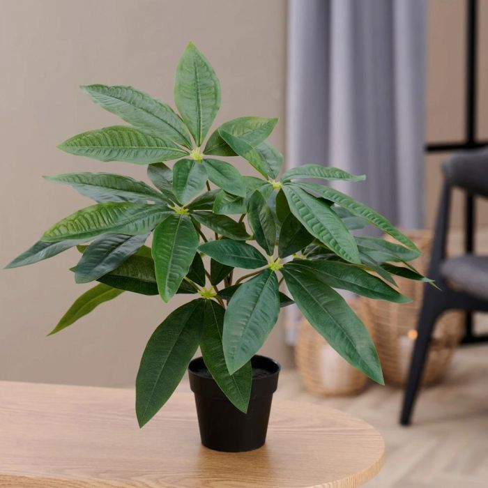 Planta Artificial Castaña Agua Day 1