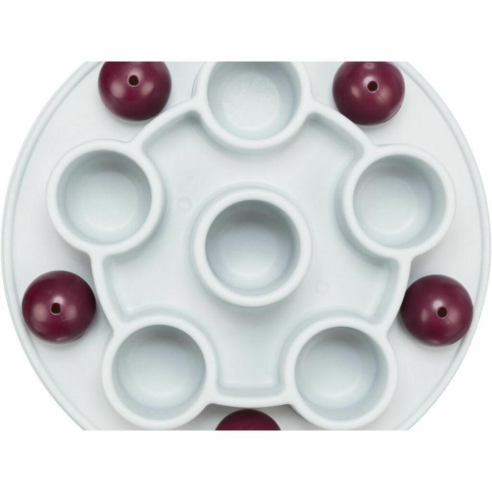 Trixie TRI4011905458953 Juego de Estrategia para Gatos Pentágono ø 28 cm 45