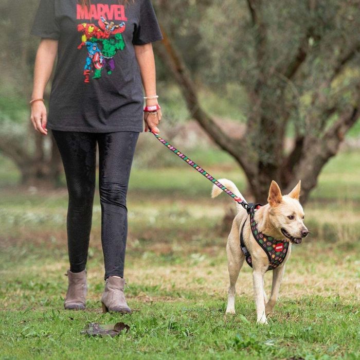 Correa premium para perros s marvel talla s 3 Correa premium para perros s marvel talla s 3