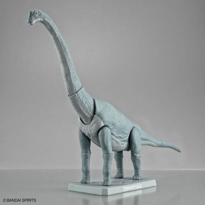 Maqueta Plannosaurus Brachiosaurus 2 Maqueta Plannosaurus Brachiosaurus 2