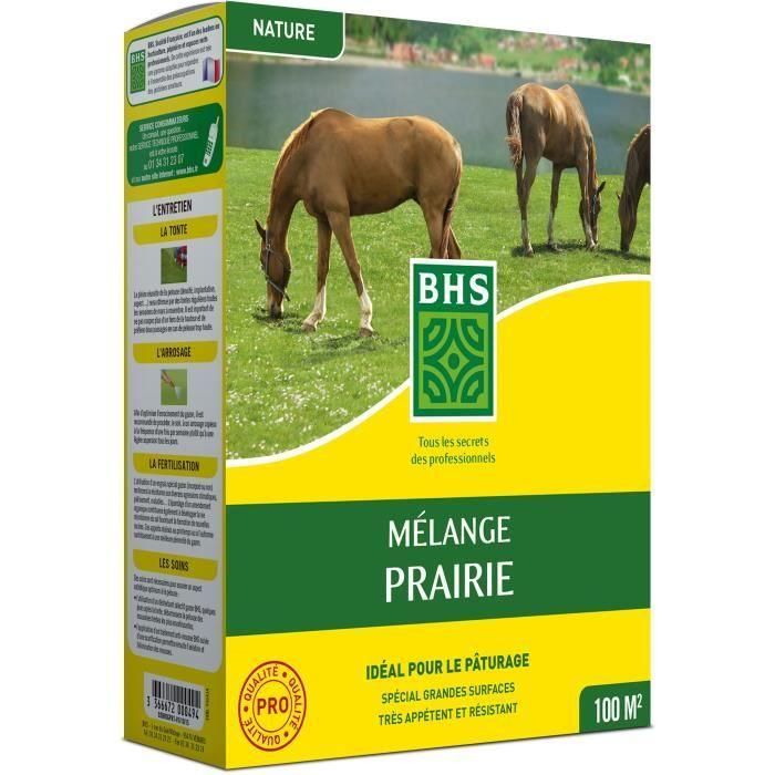 BHS BHS1689087055127 Césped Meadow Mix 1kg (40m²) - Ideal áreas extensas, rápida instalación, duradero, sin mantenimiento BHS BHS1689087055127 Césped Meadow Mix 1kg (40m²) - Ideal áreas extensas, rápida instalación, duradero, sin mantenimiento