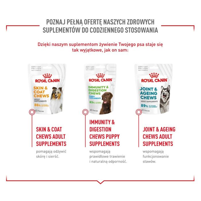 Snack para Perros Royal Canin Supplements Dog Digestion Adult 160 g 12 Snack para Perros Royal Canin Supplements Dog Digestion Adult 160 g 12