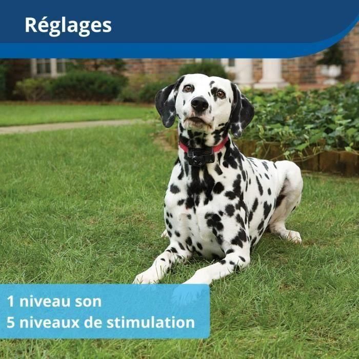 PetSafe PET0729849107625 Collar receptor inalámbrico para mascotas 3,6+ kg 5 PetSafe PET0729849107625 Collar receptor inalámbrico para mascotas 3,6+ kg 5