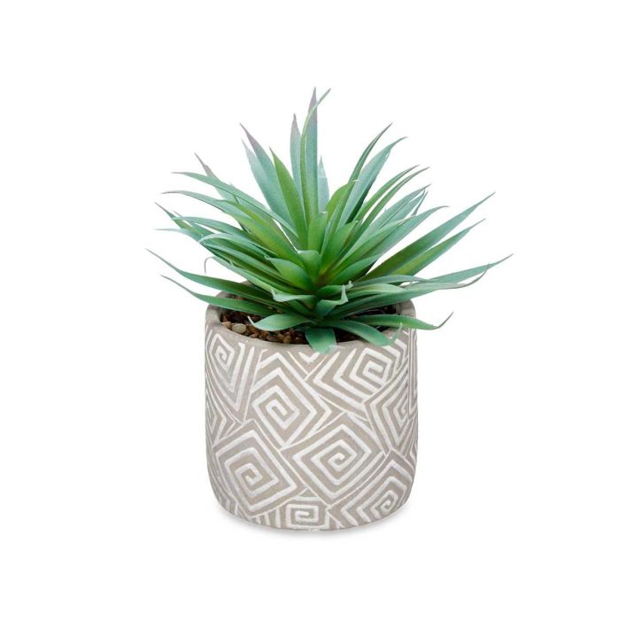 Planta Hoja Punta Maceta Gris Ibergarden 17X21CM (8 Unidades) 1 Planta Hoja Punta Maceta Gris Ibergarden 17X21CM (8 Unidades) 1