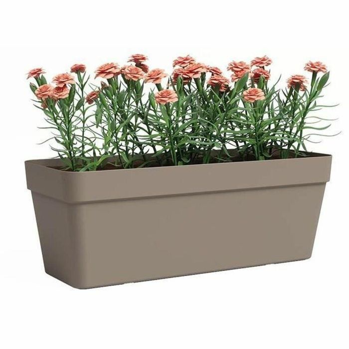 Jardinera - Plástico - Gris Topo - Rectangular - L49.9 x D20 x H18.1cm - ARTEVASI 1