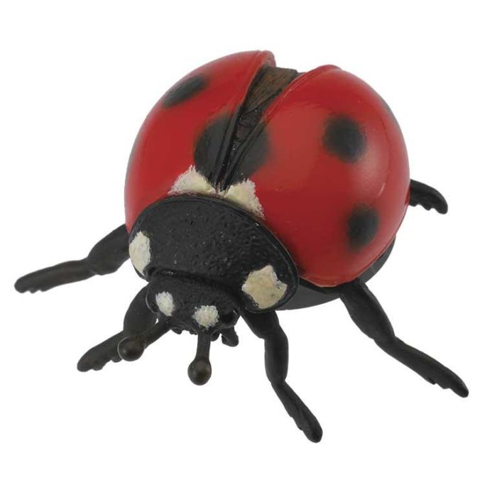 Collecta 88474 Mariquita Figura de Insecto Réplica a Escala Pintada a Mano, Modelada con Alta Calidad, Valor Educacional +3 Años Collecta 88474 Mariquita Figura de Insecto Réplica a Escala Pintada a Mano, Modelada con Alta Calidad, Valor Educacional +3 Años