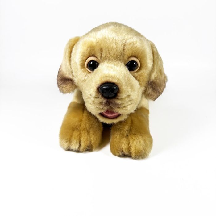 Peluche Labrador Canela Tumbado 25Cm 939D00285 Bocalan 2 Peluche Labrador Canela Tumbado 25Cm 939D00285 Bocalan 2