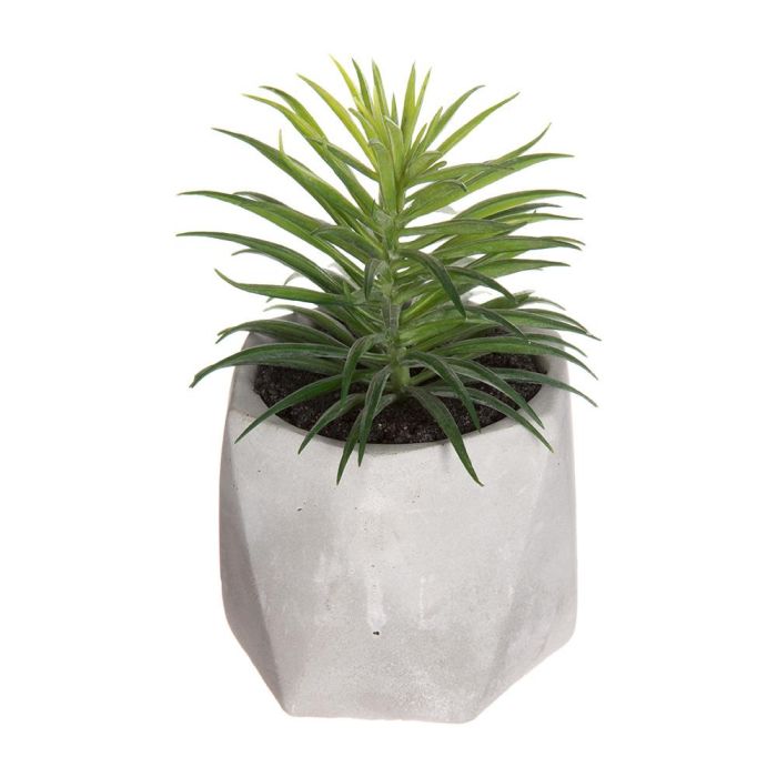 Atmosphera Planta Decorativa en Maceta de PVC Verde 7x14cm - Modelos Surtidos 0 Atmosphera Planta Decorativa en Maceta de PVC Verde 7x14cm - Modelos Surtidos 0