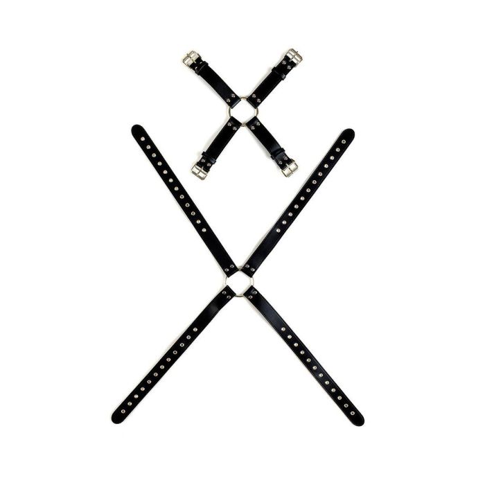 Arnés Virgite MOD. 3 3