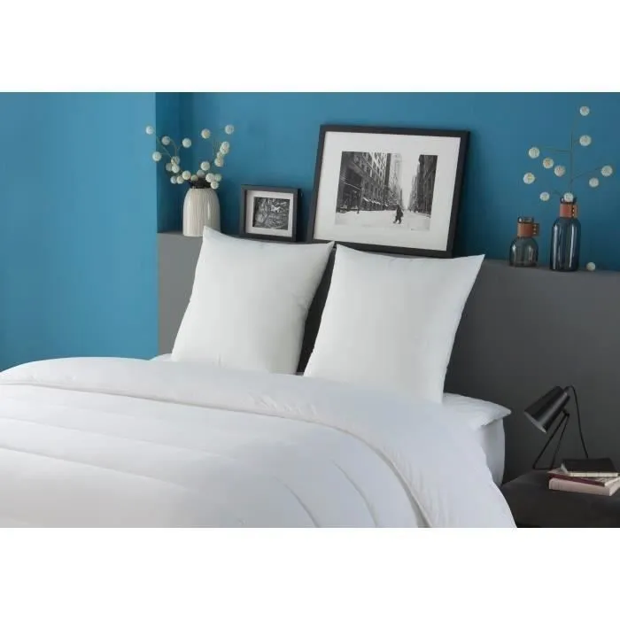 DODO Set de 2 Cojines Tentación 60 x 60 cm Relleno Fibra Hueca Siliconada Tacto Piel Melocotón Blanco 3