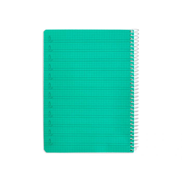 Liderpapel Cuaderno espiral A5 Pautaguía 80 hojas 90gr Cuadro Pautado 4mm con Margen Color Verde Tapa Plástico 2