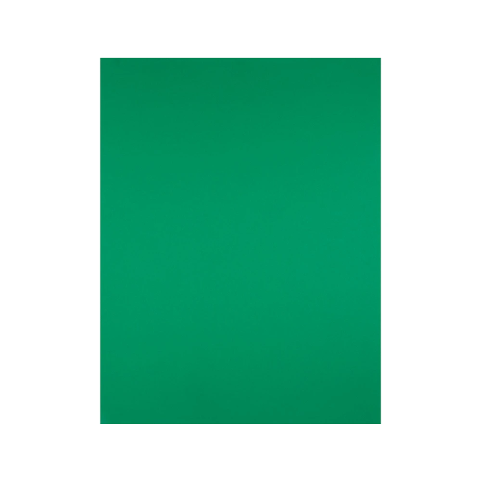 Liderpapel Cartulina Verde Navidad 50x65 cm 180g/m2 Paquete 25 Hojas para Dibujo y Manualidades 2