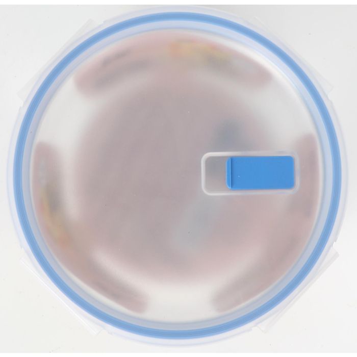 Inde Fiambrera Redonda con Tapa Hermética Ø17cm Estilo "Boho" 900cc (6 Unidades)