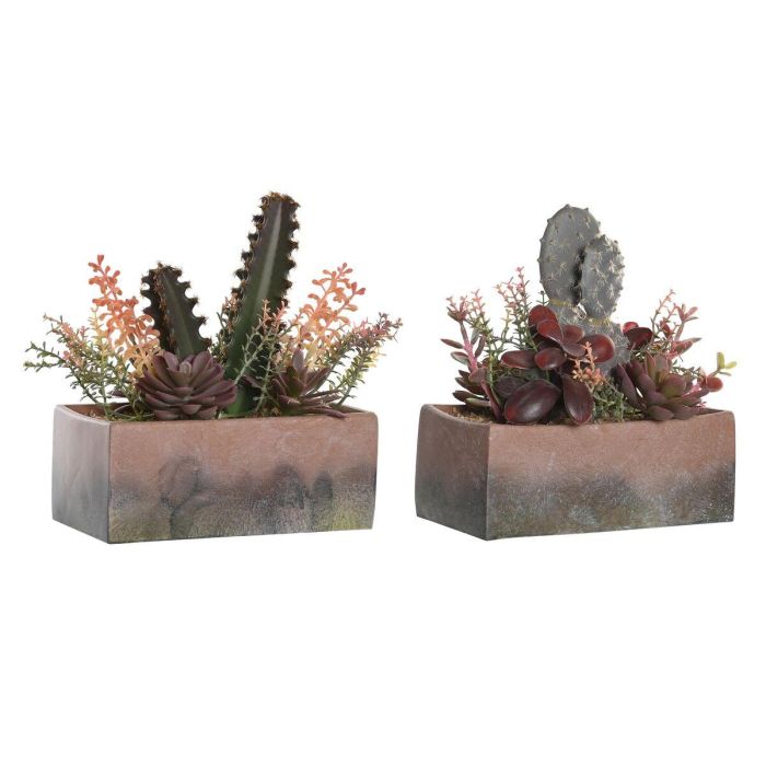 Planta DKD Home Decor Naranja Rosa 9 x 22 x 19 cm (2 Unidades)