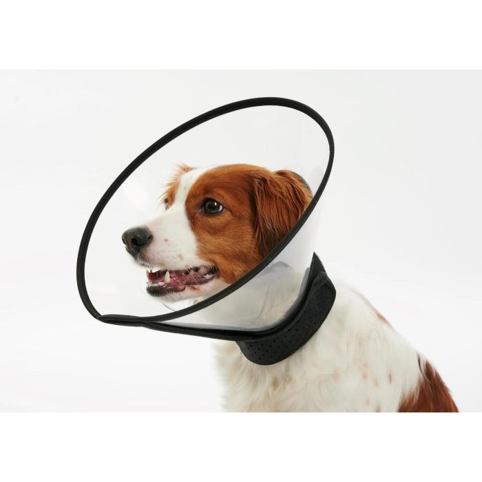 Buster Complete Collar 20 cm 5 Unidades Kruuse