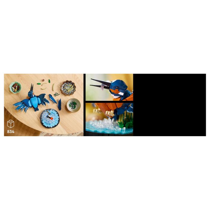 Lego 10331 Icons Kingfisher (Kungsfiskare) Fauna 2024 V29 - Set de construcción de kungsfiskare para adultos con soporte de exhibición