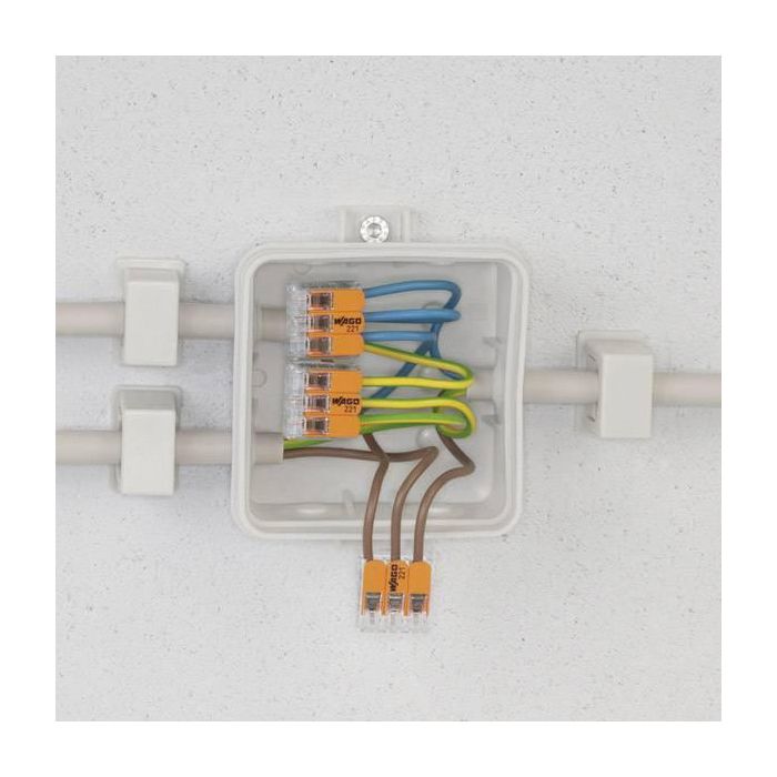 Wago Conector Rápido con Palanca 2 Vías, Máx 4 mm², 450V, 32A, Transparente 13.2 x 18.6 x 8.4 mm 5