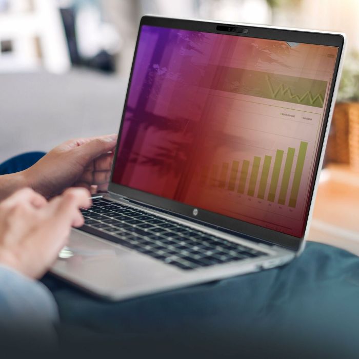 Armario Rack Mural Startech 14G-PRIVACY-SCREEN 6