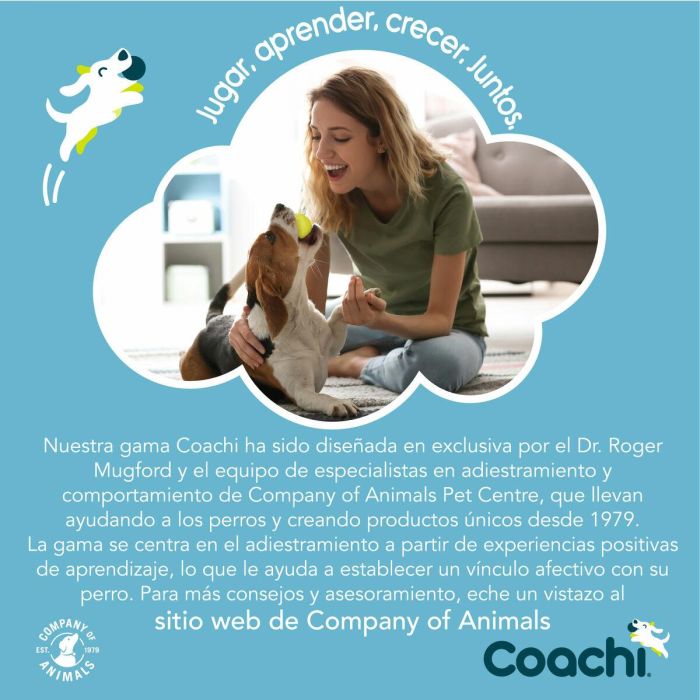 Correa para Perro Coachi Azul 2,5 m Entrenamiento 3