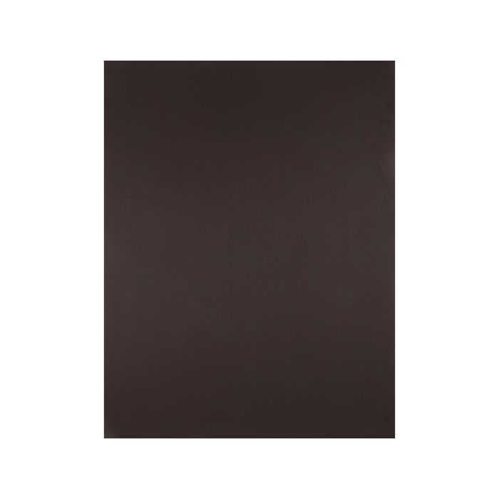 Cartulina Liderpapel 50x65 cm 180 gr Marron Unidad 125 unidades 1