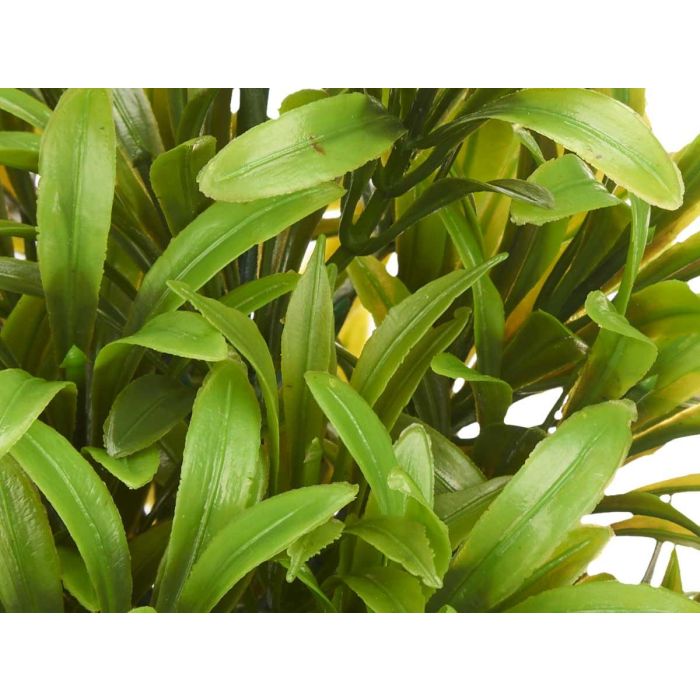 Planta Grande Verde Hojas Finas Maceta Blanca Ibergarden 18x35x16 cm (6 Unidades) 2 Planta Grande Verde Hojas Finas Maceta Blanca Ibergarden 18x35x16 cm (6 Unidades) 2