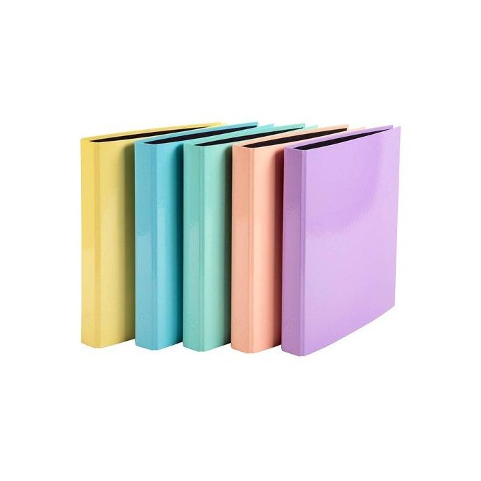 Carpeta De Anillas Exacompta Aquarel Carton Forrado A4 2 An. 25Mm Surtido (5 Col.) (Set de 10)