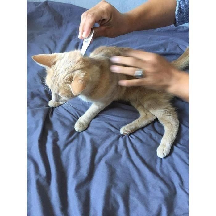 VETOCANIS Pipetas Duo antipulgas y anti-garrapatas - 2 pipetas para 5 semanas de protección - Para gatos 3 VETOCANIS Pipetas Duo antipulgas y anti-garrapatas - 2 pipetas para 5 semanas de protección - Para gatos 3