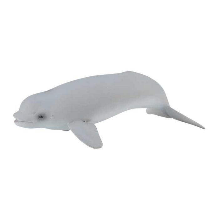 Cria De Beluga -M- 88617 Collecta Cria De Beluga -M- 88617 Collecta