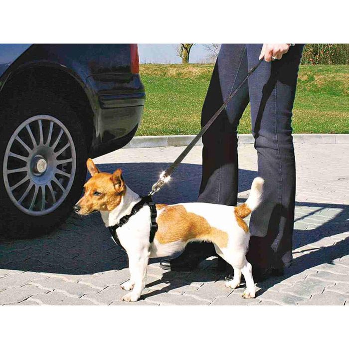 Arnés para Perro Trixie Negro XS Coche 2 Arnés para Perro Trixie Negro XS Coche 2