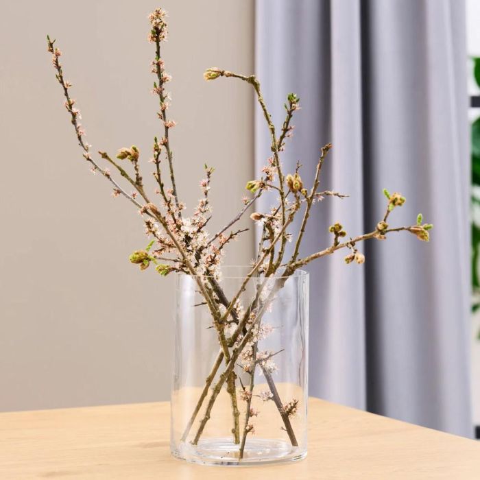 Day Jarrón Cilindro de Vidrio/Cristal Máquina, 15 cm Diámetro, 20 cm Altura 4 Day Jarrón Cilindro de Vidrio/Cristal Máquina, 15 cm Diámetro, 20 cm Altura 4