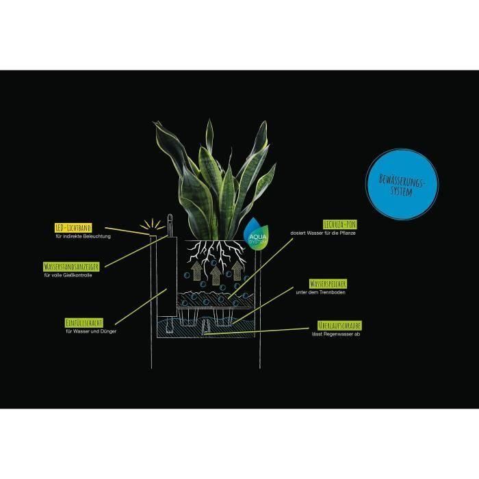 Macetero LECHUZA Canto Premium Cube 40 - kit LED completo, antracita metalizado 3 Macetero LECHUZA Canto Premium Cube 40 - kit LED completo, antracita metalizado 3