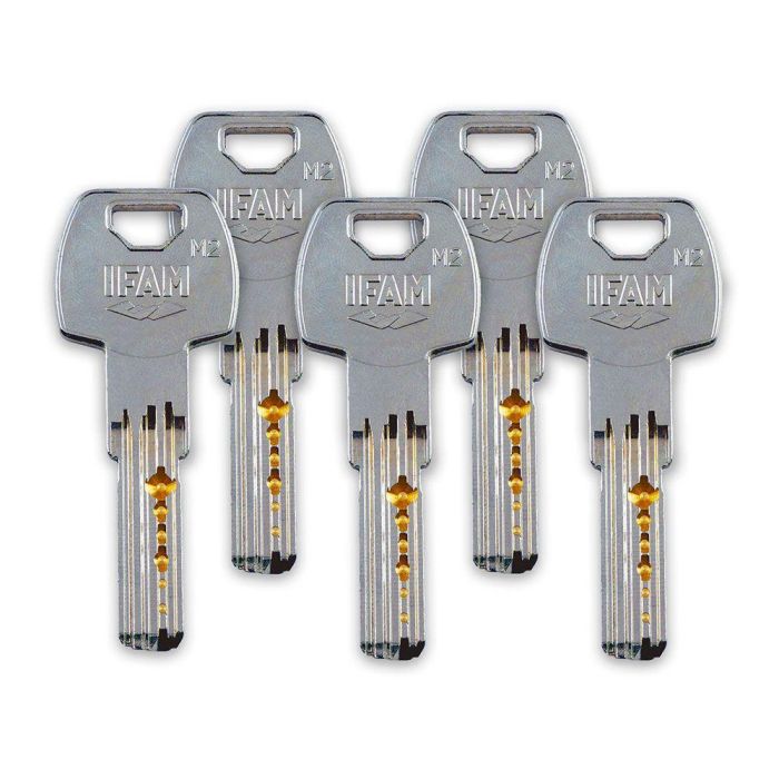 Ifam Cerrojo CS88SC M50 Cromo Satinado Cilindro 50mm con 5 Llaves de Seguridad Ifam Cerrojo CS88SC M50 Cromo Satinado Cilindro 50mm con 5 Llaves de Seguridad