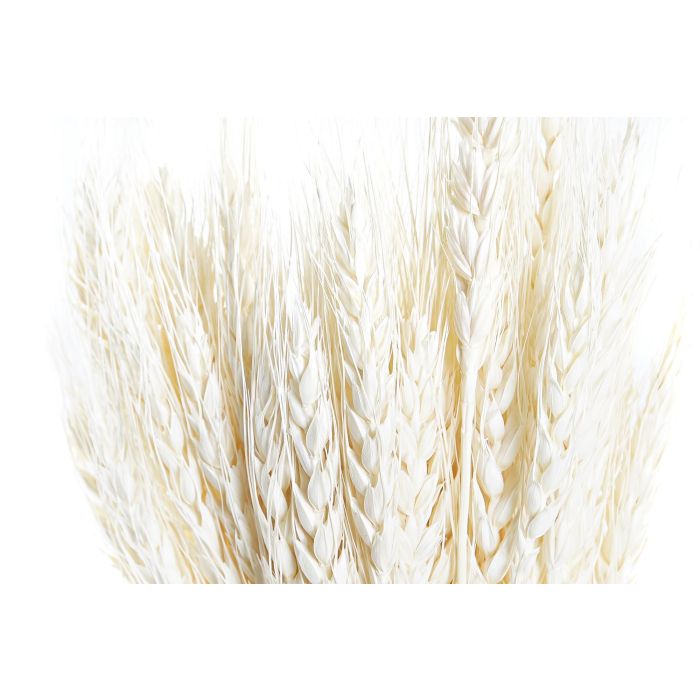 DKD Home Decor Rama Shabby Beige 20 x 64 x 20 cm (12 Unidades) 3