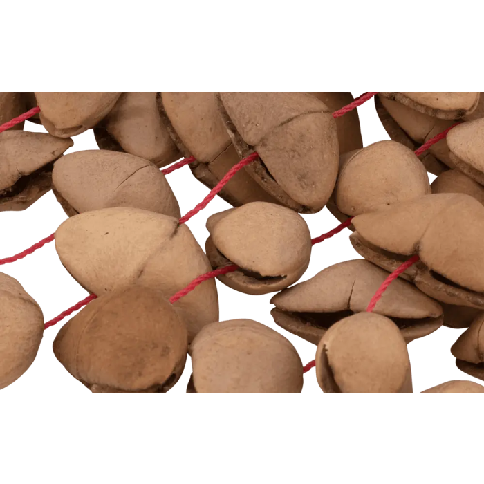 PEARL Pulsera Shaker Brazalete 7" Kenari 2