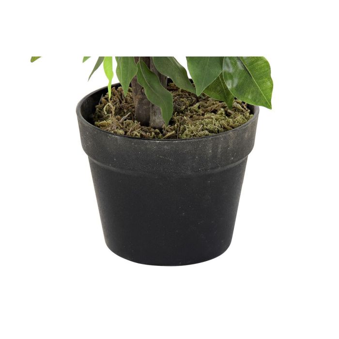 Planta Urban DKD Home Decor Verde 50 x 90 x 50 cm 1 Planta Urban DKD Home Decor Verde 50 x 90 x 50 cm 1