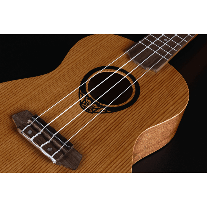 Ukelele Tiki Uku Concert 4