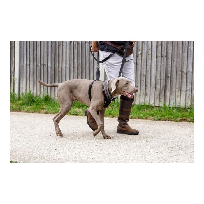 Arnés para Perro Company of Animals Halti Talla M (34-56 cm) 5 Arnés para Perro Company of Animals Halti Talla M (34-56 cm) 5