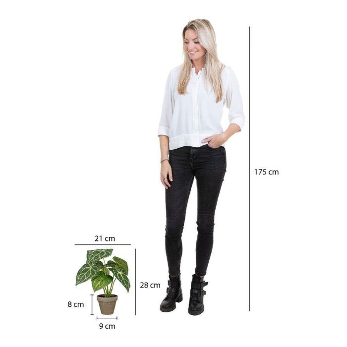 Mica Decorations Maceta Caladium Oreja de Elefante Verde Ø21 x 28 cm Cerámica 4