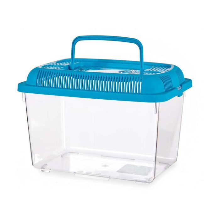 Mascow Pecera Mediana 24 cm x 17 cm Azul con Asa (Set de 12)