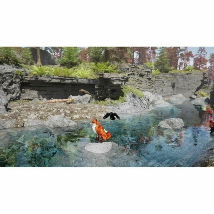 Videojuego de aventuras - Silver Lining - Spirit of the North 2 - PS5 - PEGI 12 - En caja 4 Videojuego de aventuras - Silver Lining - Spirit of the North 2 - PS5 - PEGI 12 - En caja 4